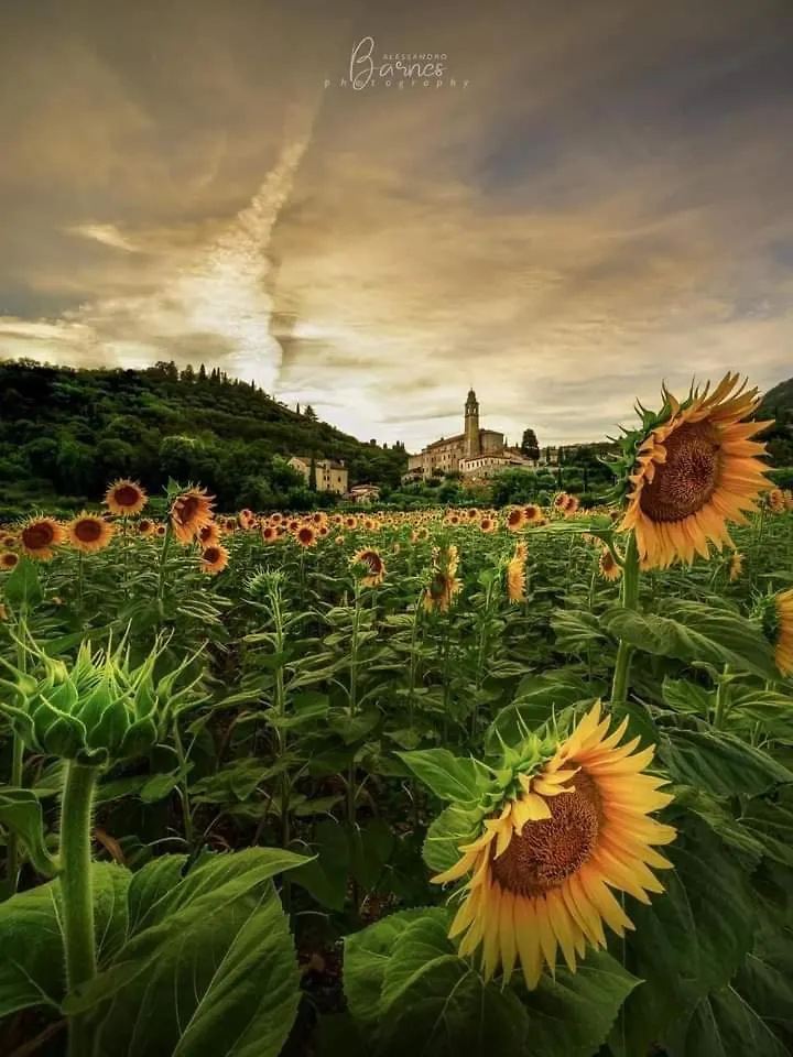 La Collina Del Poeta Villa Arqua Petrarca Italy